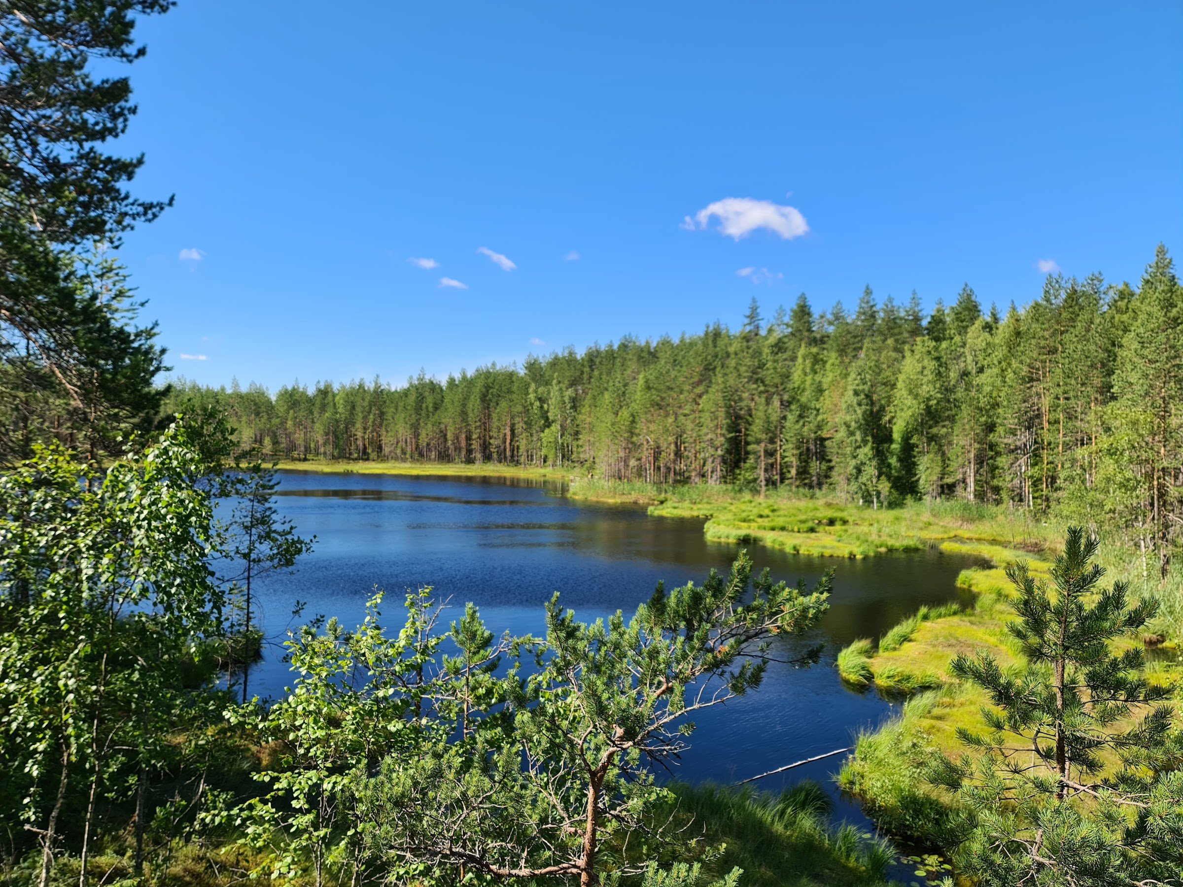 Seinävuori Gorge (Seinävuoren rotko)